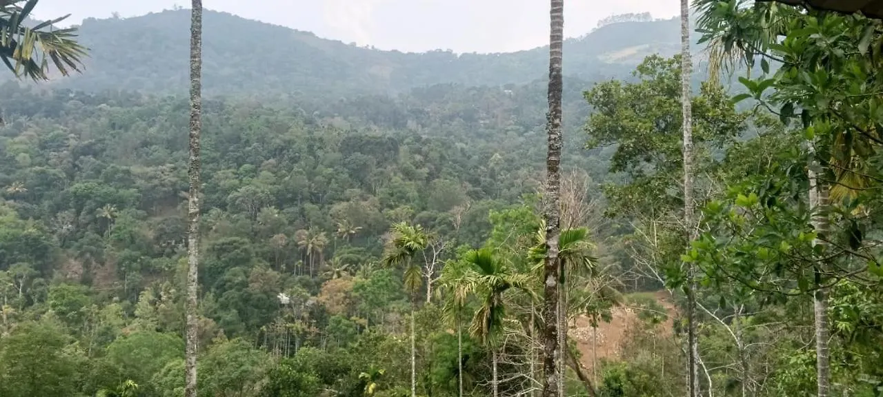 East West Farm Homestay Munnar Hindistan