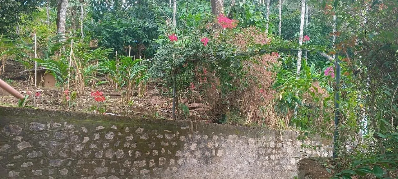 East West Farm Homestay Munnar Daire